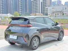 BYD Seagull 2023 Vitality Edition - ფოტო 9