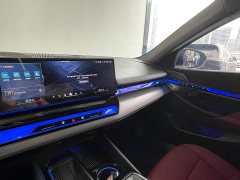 BMW 5 Series Facelift 530Li Premier M Sport Package - ფოტო 20