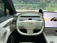 Nio Lerado L60 2024 60kWh Rear-Wheel Drive - ფოტო 9