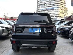 Great Wall Dachshund 2026 1.5T DCT Border Collie Edition - ფოტო 6