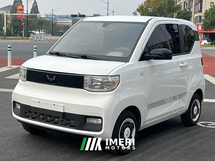 Wuling Hongguang MINIEV Zizai Edition LFP Battery