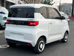 Wuling Hongguang MINIEV 2022 Zizai Edition LFP Battery - ფოტო 5