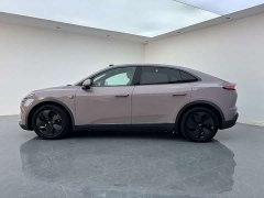 Nio Lerado L60 2024 60kWh Rear-Wheel Drive - ფოტო 17
