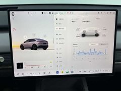 Nio Lerado L60 2024 60kWh Rear-Wheel Drive - ფოტო 19