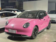 ORA Good Cat 401km Luxury - ფოტო 1