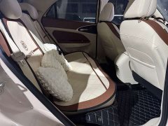 ORA Good Cat 401km Luxury - ფოტო 10