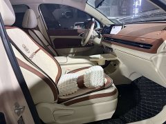 ORA Good Cat 401km Luxury - ფოტო 11