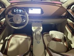ORA Good Cat 401km Luxury - ფოტო 12