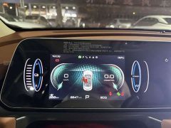 ORA Good Cat 401km Luxury - ფოტო 13