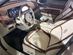 ORA Good Cat 401km Luxury - ფოტო 8