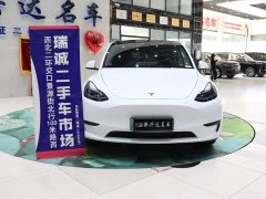 Tesla Model Y Rear-Wheel Drive - ფოტო 2