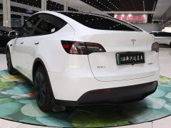 Tesla Model Y Rear-Wheel Drive - ფოტო 4