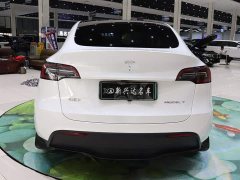 Tesla Model Y Rear-Wheel Drive - ფოტო 5