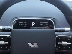Li Auto L9 Pro - ფოტო 14