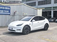 Tesla Model Y Rear-Wheel Drive - ფოტო 1