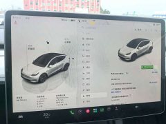 Tesla Model Y Rear-Wheel Drive - ფოტო 15