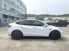 Tesla Model Y Rear-Wheel Drive - ფოტო 4