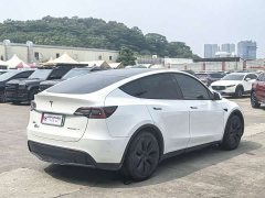 Tesla Model Y Rear-Wheel Drive - ფოტო 8