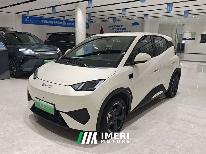 BYD Seagull Smart Driving Edition 305km Freedom Edition