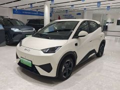 BYD Seagull Smart Driving Edition 305km Freedom Edition - ფოტო 1