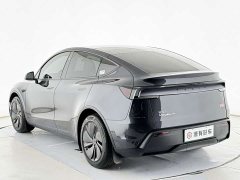 Tesla Model Y Long Range Rear-Wheel Drive - ფოტო 16