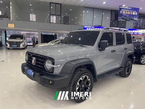 2024 Tank 300 2.0T Conqueror - ავტომობილი ჩინეთიდან