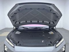 NIO ET5T 2025 Champion Commemorative Edition 75kWh Touring - ფოტო 17