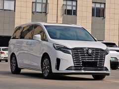 Buick GL8 ES LuZun Flagship - ფოტო 3