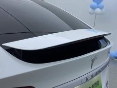 Tesla Model X 2020 Performance High Performance Edition - ფოტო 13