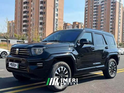 2025 Tank 700 New Energy 2024 Hi4-T Extreme Edition - ავტომობილი ჩინეთიდან