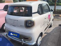 FAW Besturn Xiaoma 222km Lightning Edition - ფოტო 3