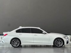 BMW 3 Series 320Li M Sport Package - ფოტო 17