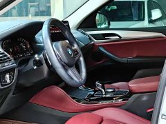 BMW X4 xDrive 30i M Sport Package - ფოტო 8