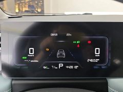 Geely Geometry E Firefly 401km Starlight - ფოტო 14