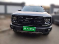 Great Wall Dachshund 1.5T DCT Border Collie Edition - ფოტო 2