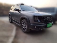 Great Wall Dachshund 1.5T DCT Border Collie Edition - ფოტო 3
