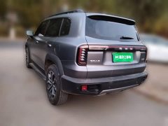 Great Wall Dachshund 1.5T DCT Border Collie Edition - ფოტო 4