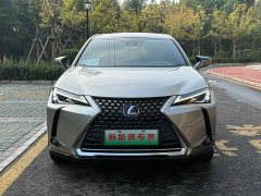 Lexus UX New Energy 2020 300e Pure Joy Edition - ფოტო 2