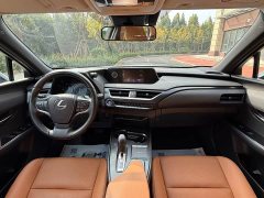 Lexus UX New Energy 2020 300e Pure Joy Edition - ფოტო 5
