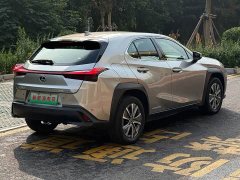 Lexus UX New Energy 2020 300e Pure Joy Edition - ფოტო 9