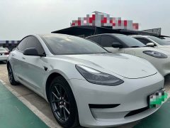 Tesla Model 3 Standard Range RWD Upgrade - ფოტო 3