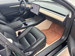 Tesla Model 3 Standard Range RWD Upgrade - ფოტო 4