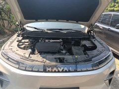 Haval Xiaolong MAX Hi4 165 Ultra Intelligent Driving Edition - ფოტო 19