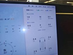 Li Auto L6 Pro - ფოტო 11
