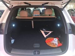 Li Auto L6 Pro - ფოტო 18