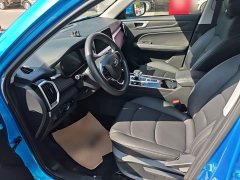 Chery Pro 1.5T CVT Edition - ფოტო 14