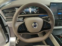 Denza D9 2022 DM-i 970 AWD Flagship - ფოტო 10