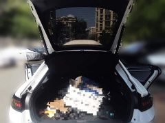 Volkswagen Lingdu L 280TSI DSG Spicy Edition - ფოტო 9