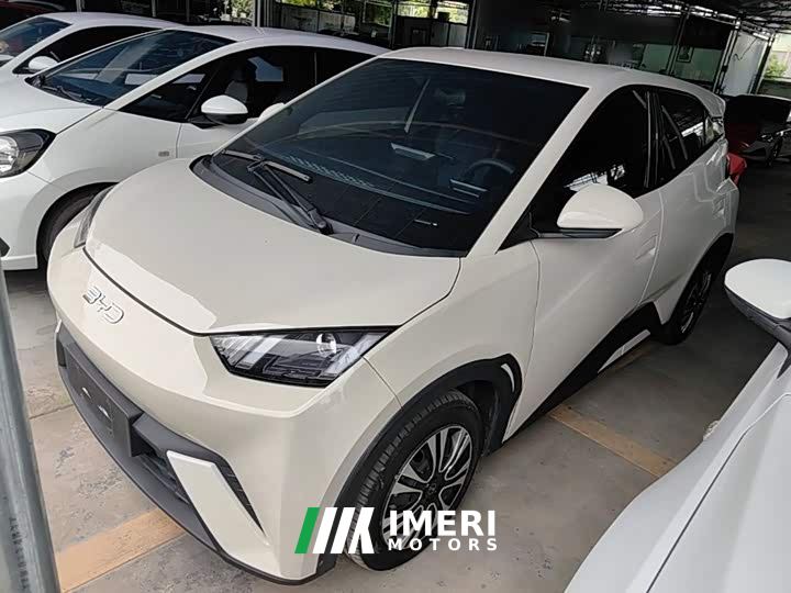 BYD Seagull 305km Freedom Edition