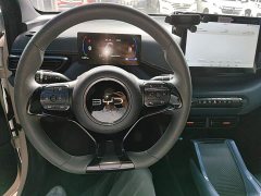 BYD Seagull 305km Freedom Edition - ფოტო 10